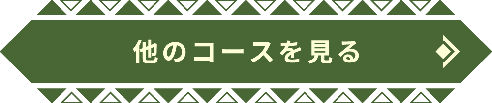 他のコースを見る