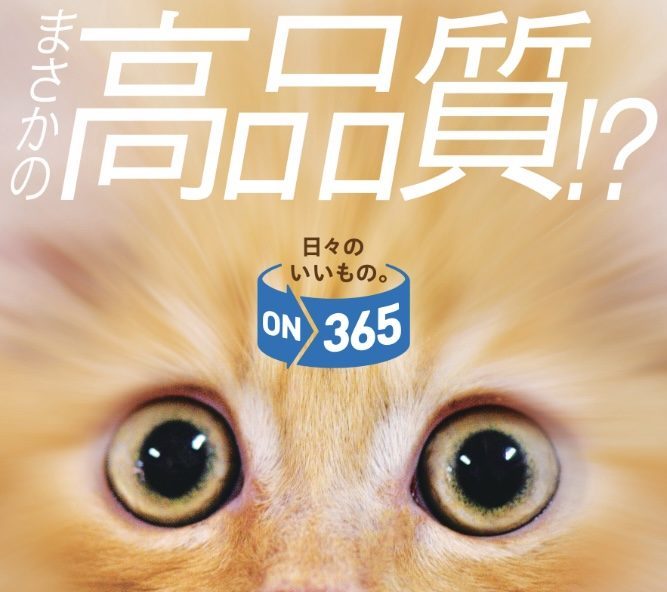 コスモスでのお買い物で生活が豊かに！