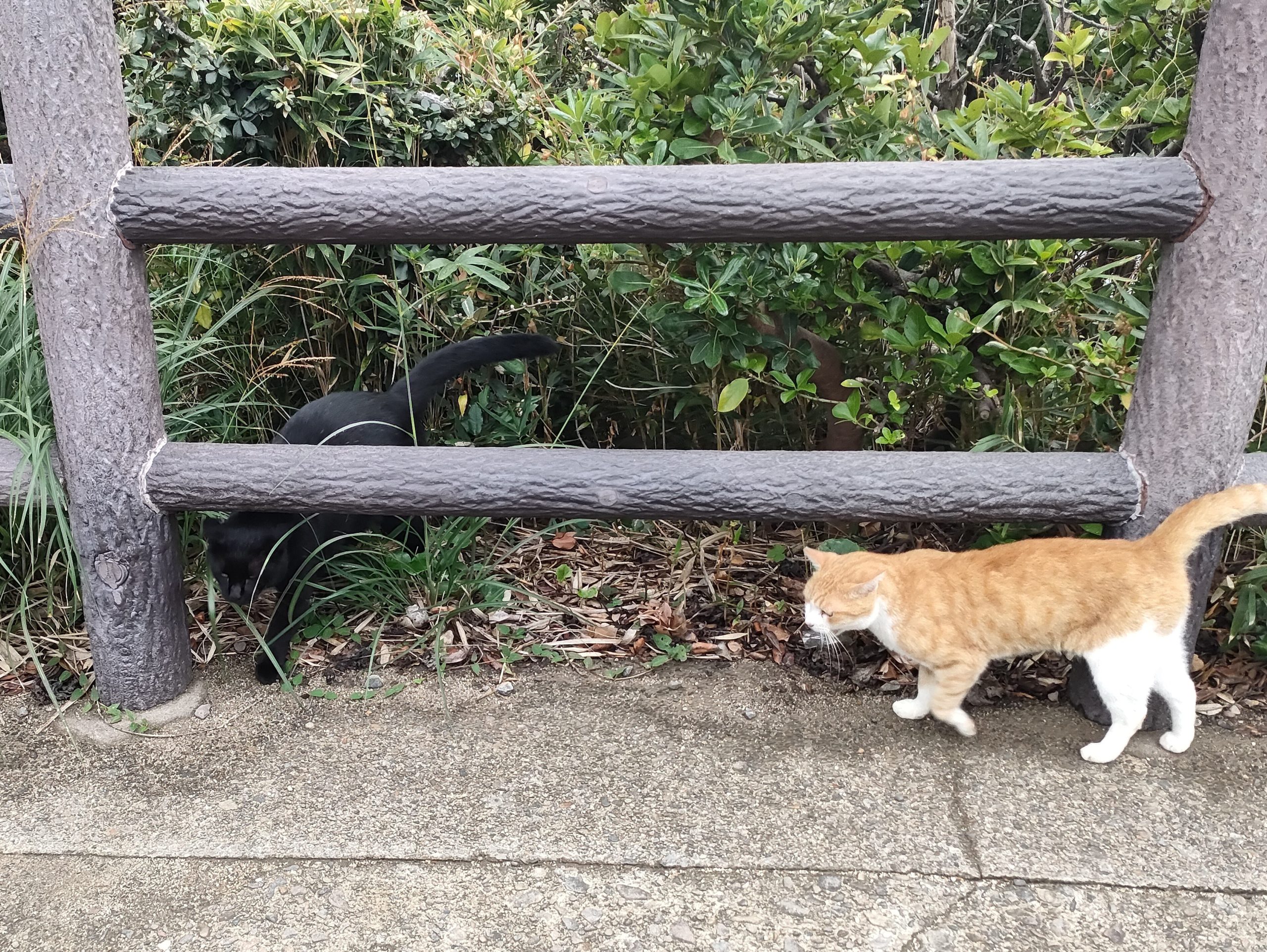 お休みとお仕事のメリハリって？